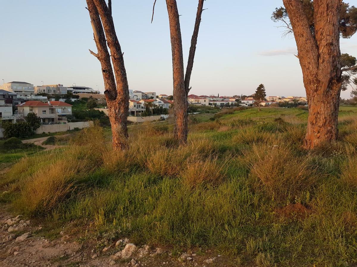 The Hbs Suite Ness Ziona Exterior foto
